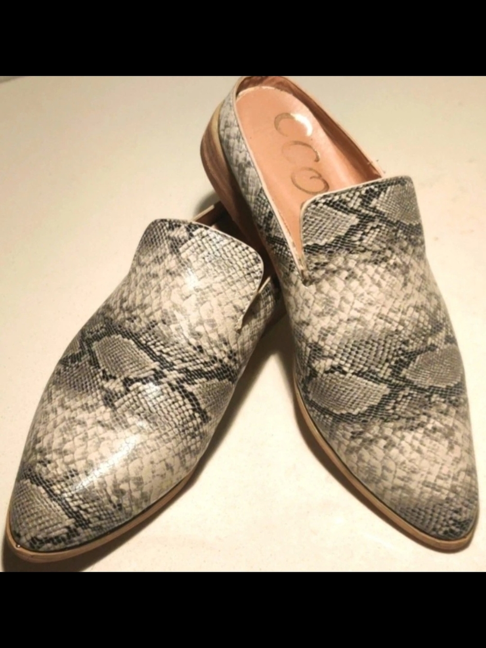 Ccocci Nova Womens 7 Mules Snake Style New